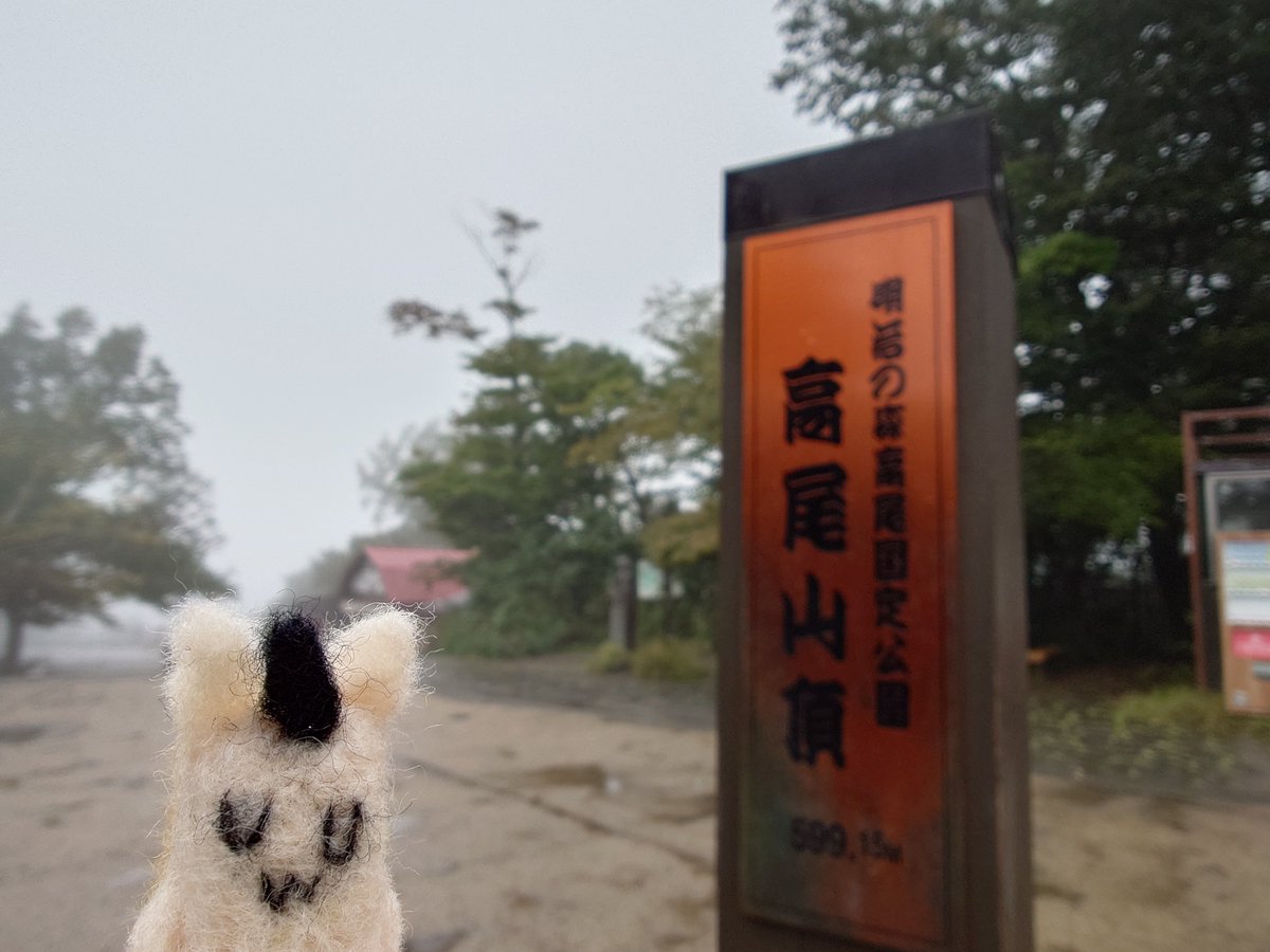 ray_theoillamp's tweet photo. Day 9
雖然雨好大但是跟燈友一起爬上來了！！！…燈友可以搬我下山嗎？🫠 https://t.co/RbrkurGVwo