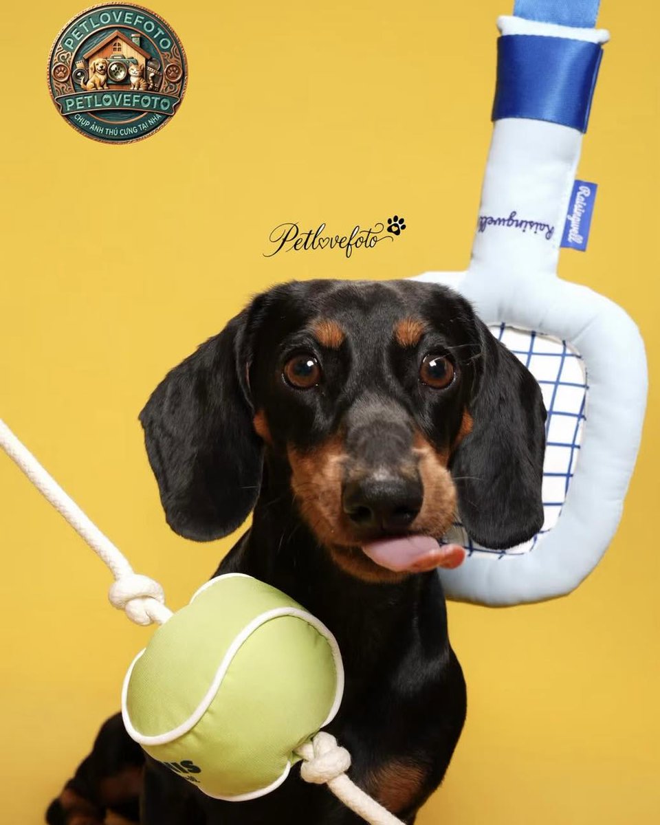AllaStrzelwh's tweet photo. You asked me to play pickleball with you. https://t.co/9pk7Tv1ckx