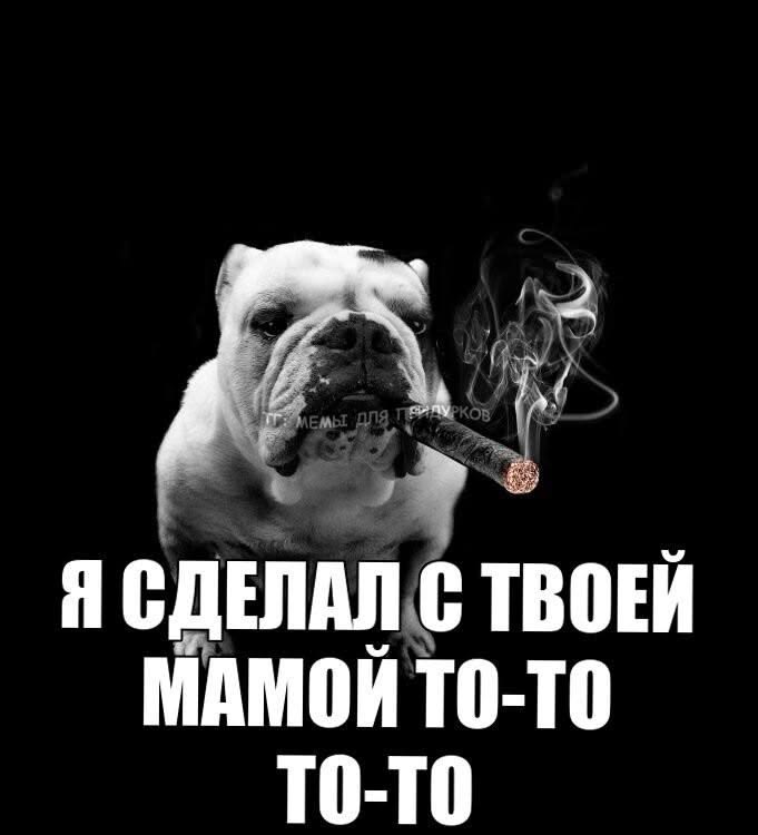 vlxdoz's tweet photo. @ironrockfucker @Dormedont4 https://t.co/IyIO8FLrZS