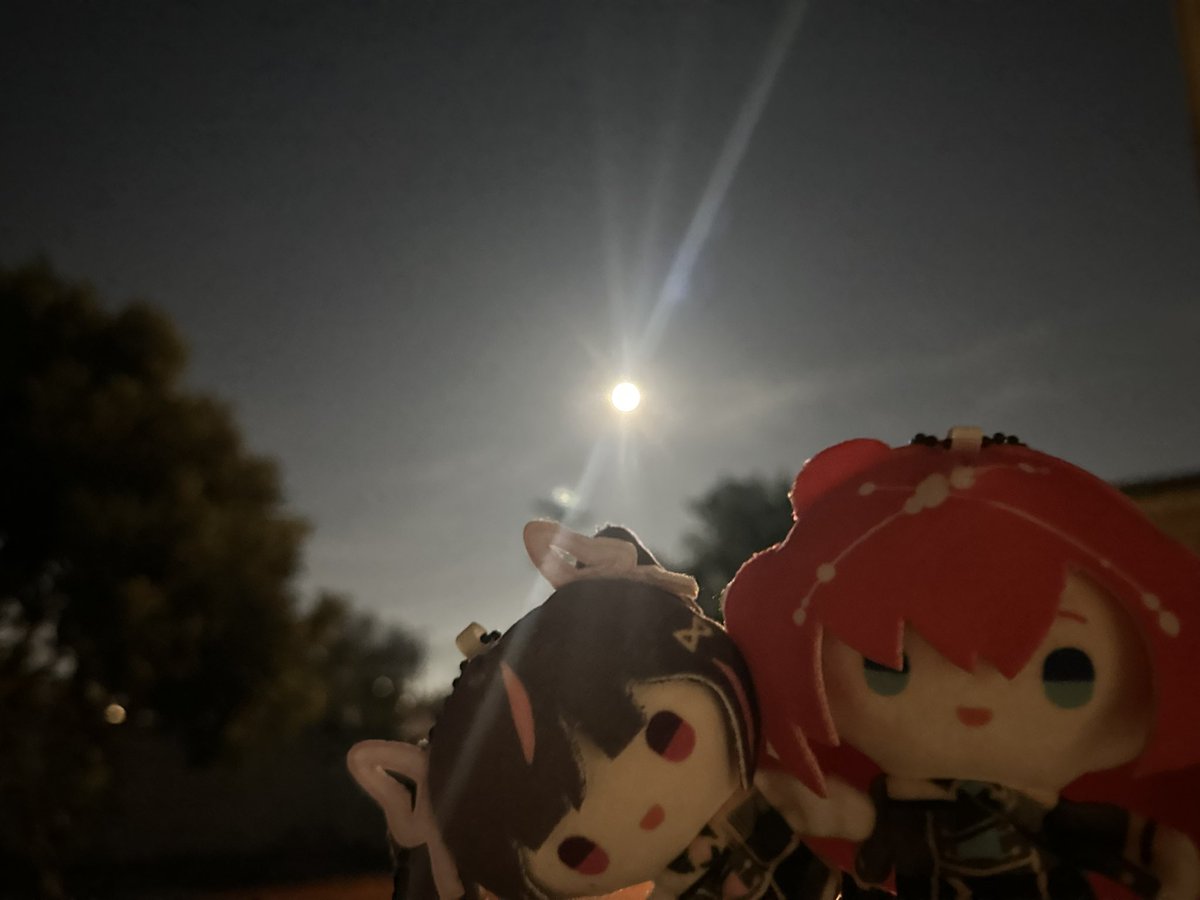 kiratachibana's tweet photo. Tonight is 中秋節 (Mid-Autumn Festival), as well as 추석 (Chuseok). So I guess I should do a mixed cultural celebration with Mui Mui (Canto way of saying imouto) and Sinon

Having a nice dinner, moon viewing, and eating cultural food

#Himebito #SinonDiary https://t.co/suydMp3S5D