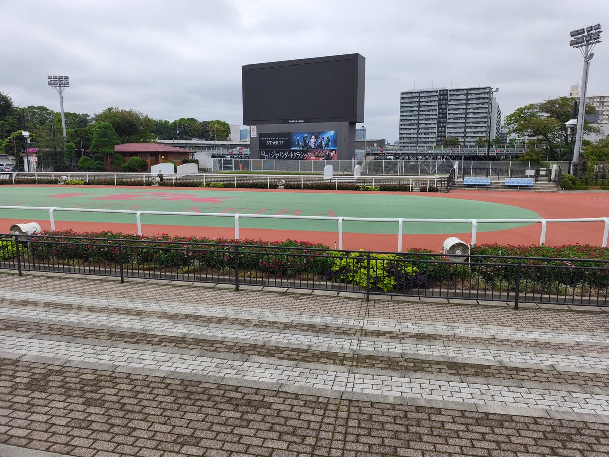 _old_demon's tweet photo. 人生初の競馬場は非開催日でした@大井競馬場 https://t.co/Ug3qhsGtI9
