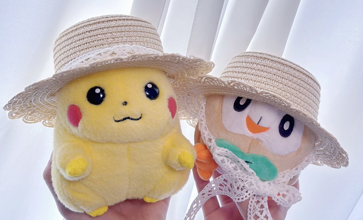 mei771M's tweet photo. そんなかわいい顔して見つめられたら…遊びに連れて行くしか…（私は出不精） https://t.co/ZOkquJxXqS