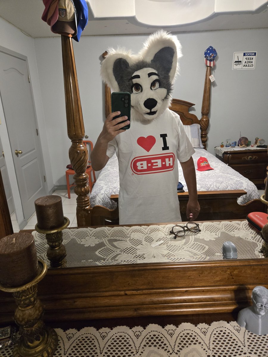 Junelazyfox's tweet photo. New shirt. https://t.co/72wVX5iAmn