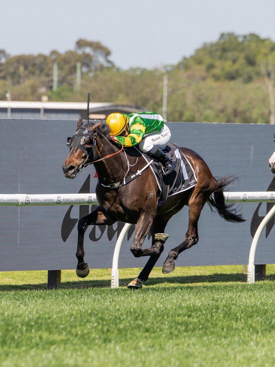 BBakerRacing's tweet photo. And so he was… SO YOU ARE fought bravely under the big weight to win the Group 3 Asahi Super Dry Colin Stephen Quality! 

Beautiful ride from the King @RachelK11

Congratulations to Stuey @TuranggaFarm https://t.co/X5GqlhVHE7