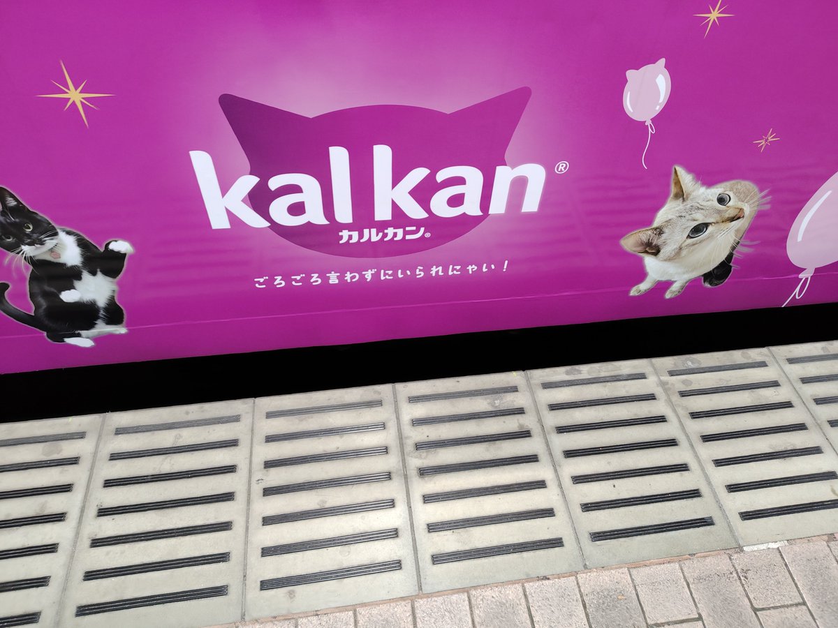milkymintsheart's tweet photo. 『ねこちゃんいっぱいもこ🐈‍⬛🐈』
経堂に向かう途中、下高井戸から乗った東急世田谷線の電車がカルカンラッピングでした。#東急世田谷線 #カルカン #ねこ #ごろごろ言わずにいられにゃい #もころん #一家に一匹もころんを https://t.co/zECXzzFaJD