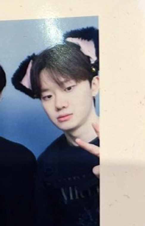 HHSbgsd's tweet photo. 🐱✌️ 고양이현상 https://t.co/WiNlaBg5c2
