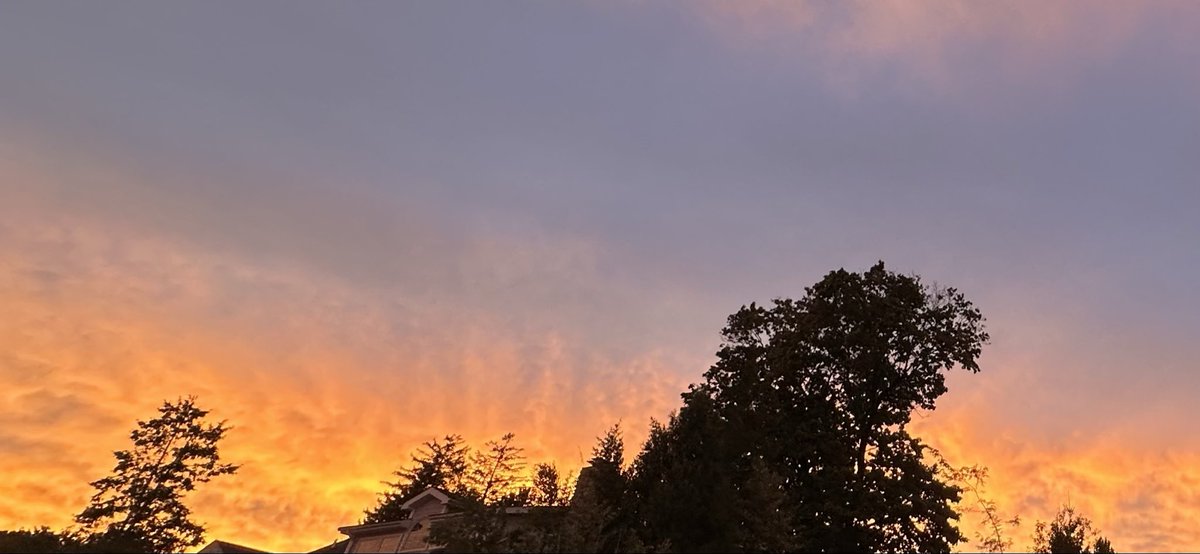 Osbournegreen's tweet photo. METALLIC CHEMSLOP CAUSES WILDFIRE SUNDOWNS ⬇️

NJ 9/25/2026 https://t.co/1sBcgWRIzY