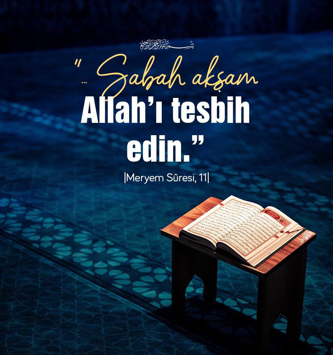 omerdogan_27's tweet photo. https://t.co/TolJ5lfGhA