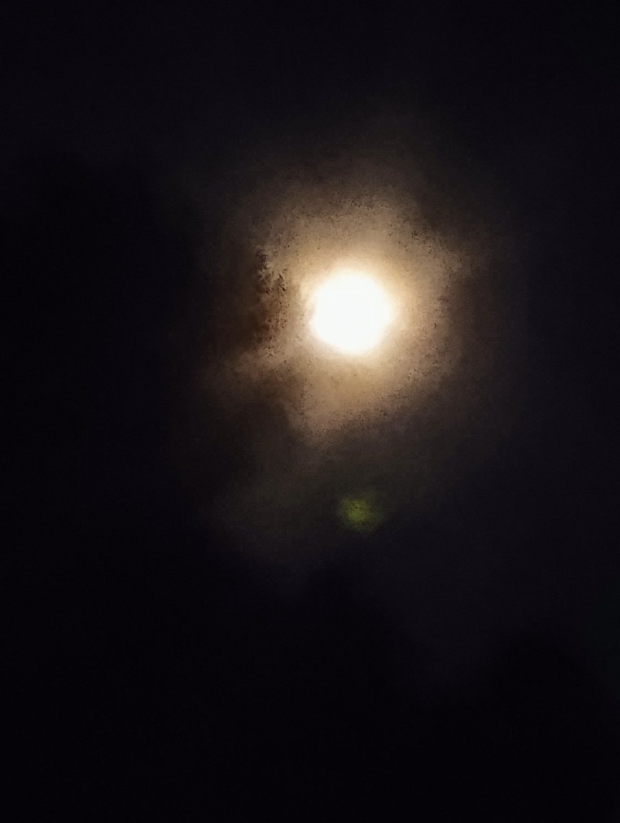 kat21665192591's tweet photo. Full Harvest Moon...., https://t.co/uQj81g0wXV