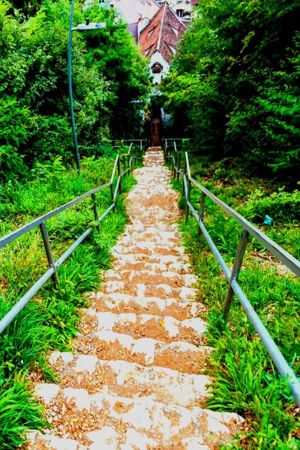 PatFurstenberg's tweet photo. Somewhere between a tower ( White) and a bastion (Graft), in Braşov ( once known as Corona or Kronstadt-the Crown City).
👑 🏰 

#stairwaySaturday #Im4Ro #staircaseSaturday #stairs #forest https://t.co/MlPkla9lsY