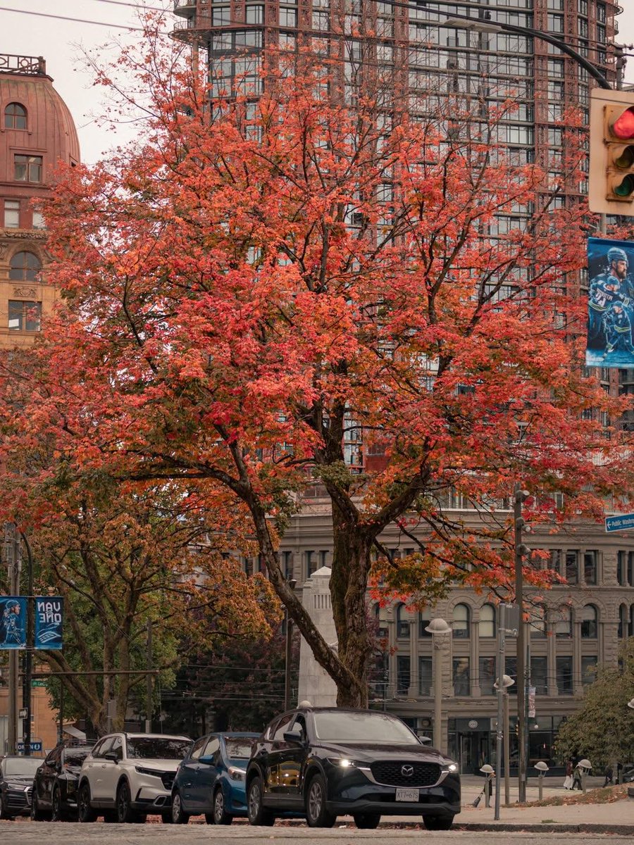 earthviewss1's tweet photo. Fall in Downtown Vancouver, Canada 🇨🇦 https://t.co/6KCQfHSJON