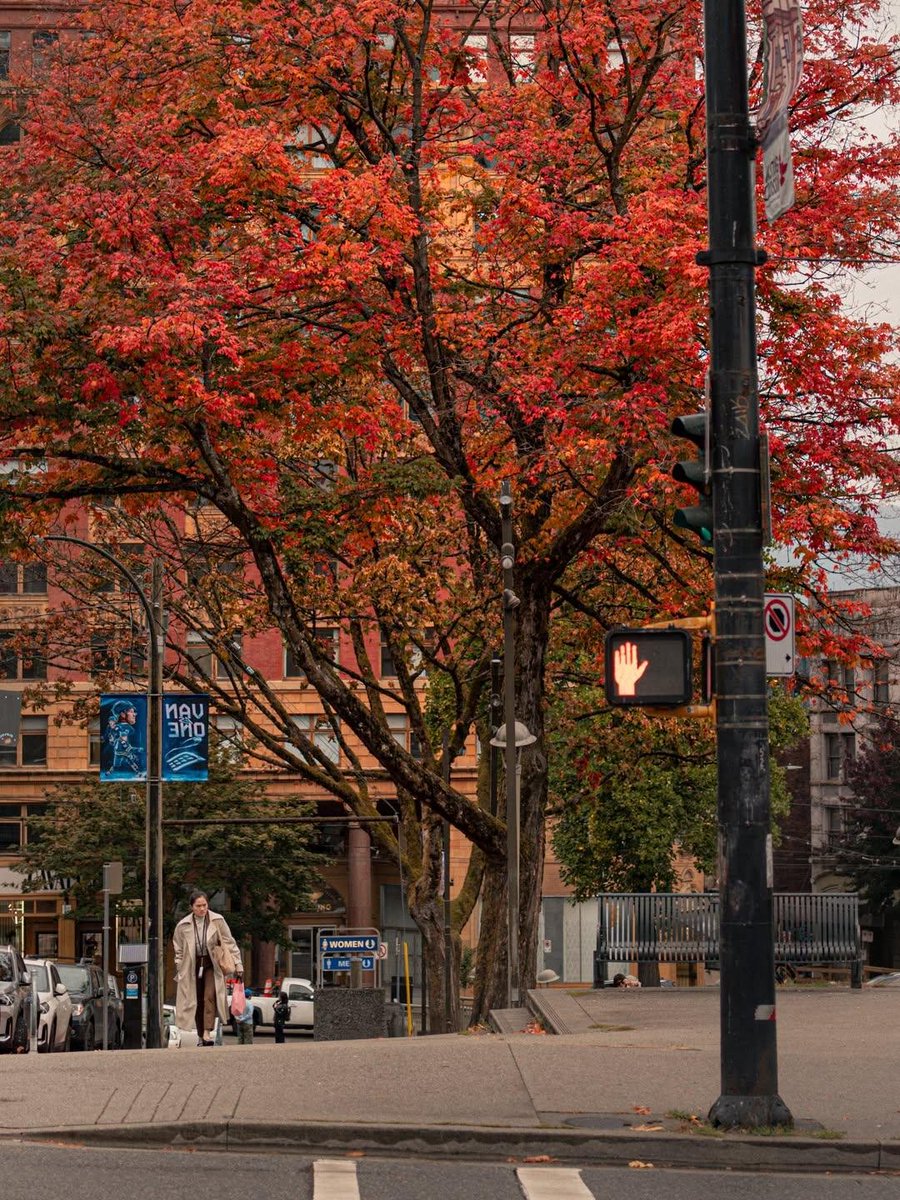 earthviewss1's tweet photo. Fall in Downtown Vancouver, Canada 🇨🇦 https://t.co/6KCQfHSJON