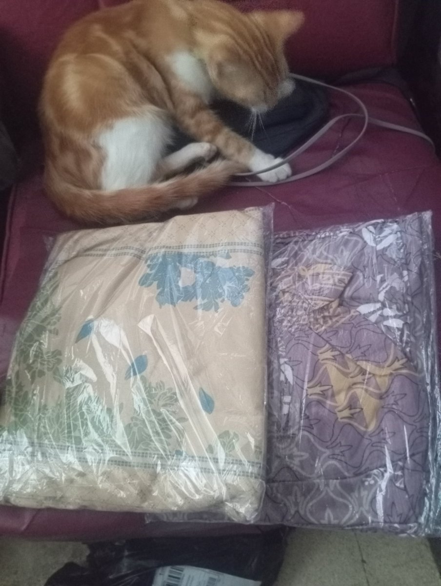 imasputra12's tweet photo. Alhamdulillah
Paket mukenanya sudah datang
Ibu senang sekali
Terima kasih kakak atas supportnya
Semoga Allah membalas semua kebaikan kakak.. Aamiin 🤲🏻
#rezeki #bisu #tuli #ibu #paket https://t.co/u9pHCshKQF