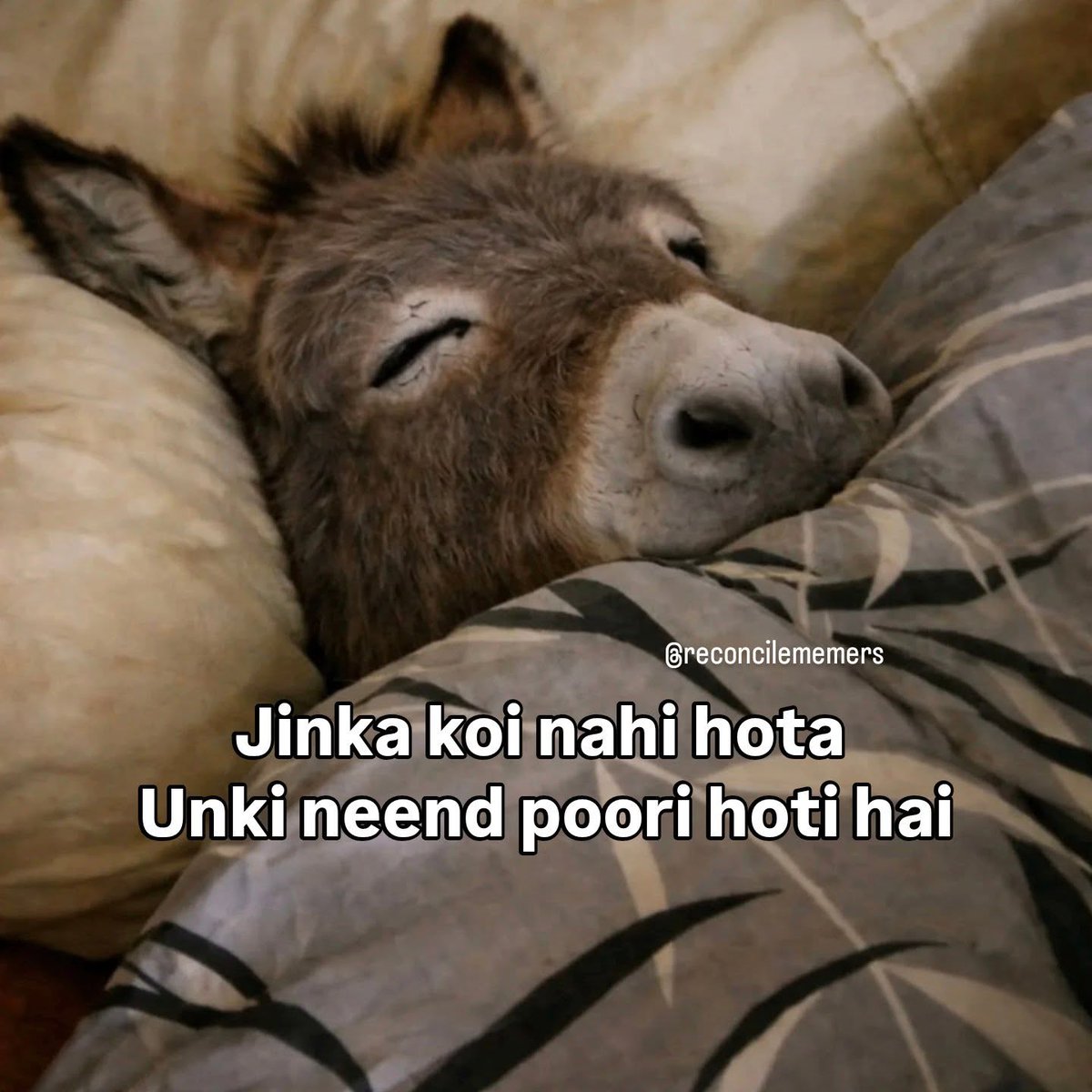 KizzyMuldetri's tweet photo. At least I’ll get enough sleep in life. Follow for more. https://t.co/QsYQlM2JJb