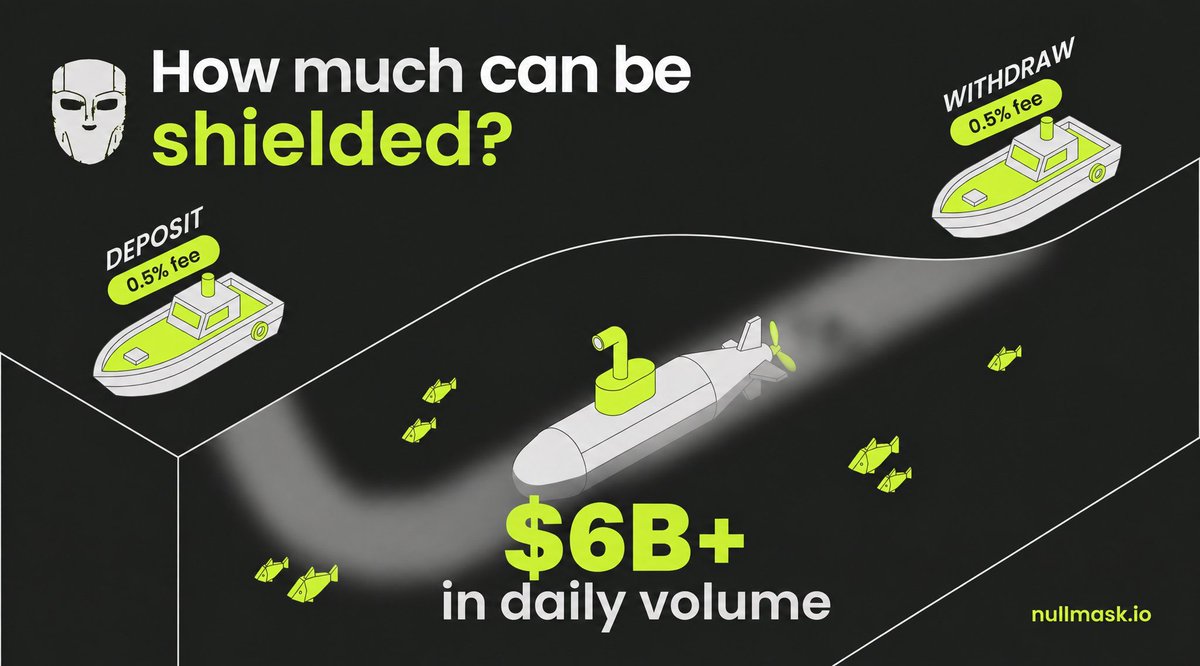 NulllMaskio's tweet photo. 6B+ in daily on-chain volume across EVM and Solana.

We charge:
•  0.5% for shielding
•  0.5% for un-shielding

How much of that volume do you think $MASK can shield? https://t.co/0ZjmPuc3rC