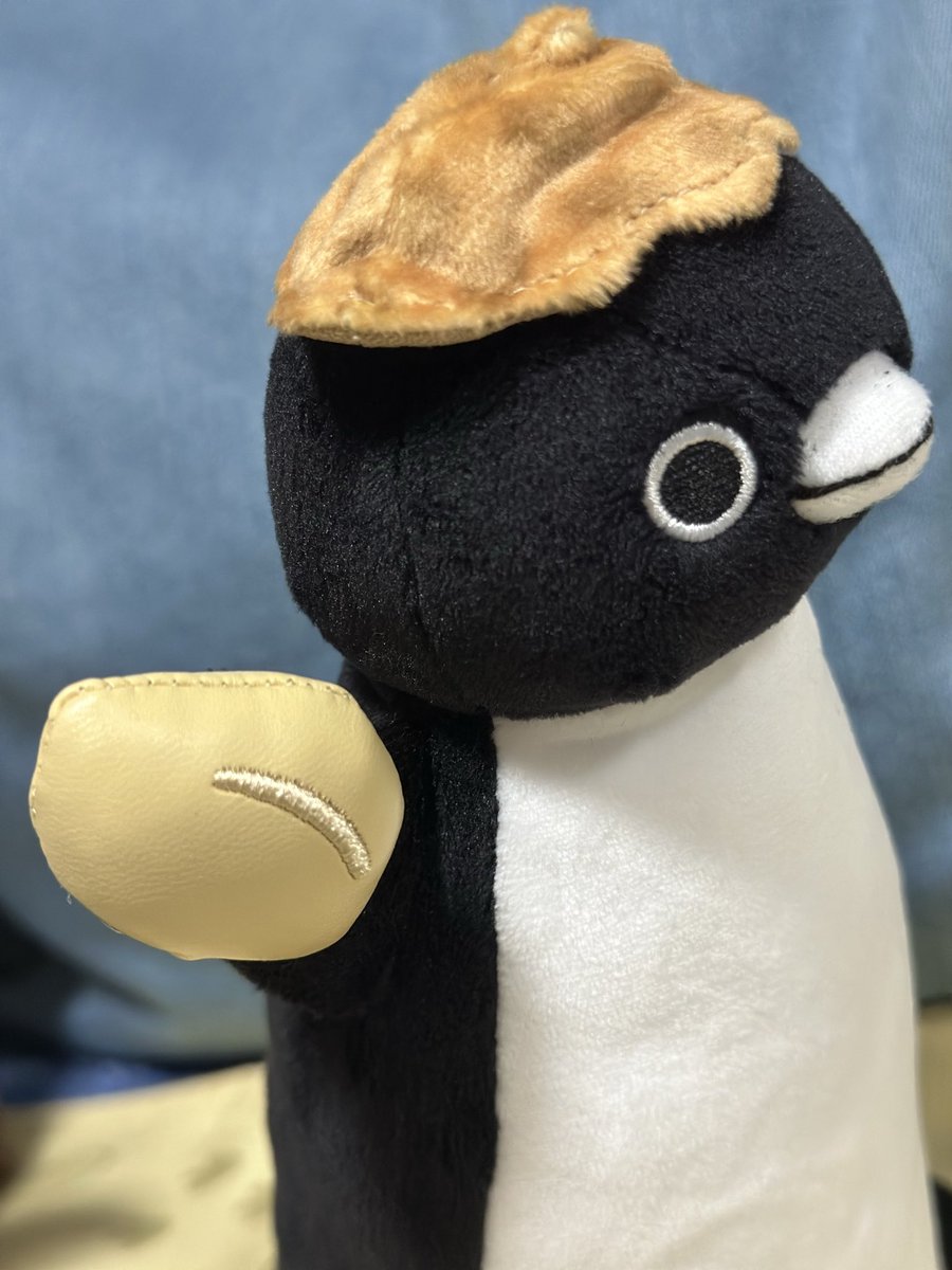 silver_P3ma_Bd's tweet photo. 🍓と違って、🥜形態になっても自立

持っている実の部分は、合皮っぽい素材でツルっとしています

キミ、フリッパーがずいぶん短いけどそこも愛おしいな💕🐧 https://t.co/Inq87g9NCz