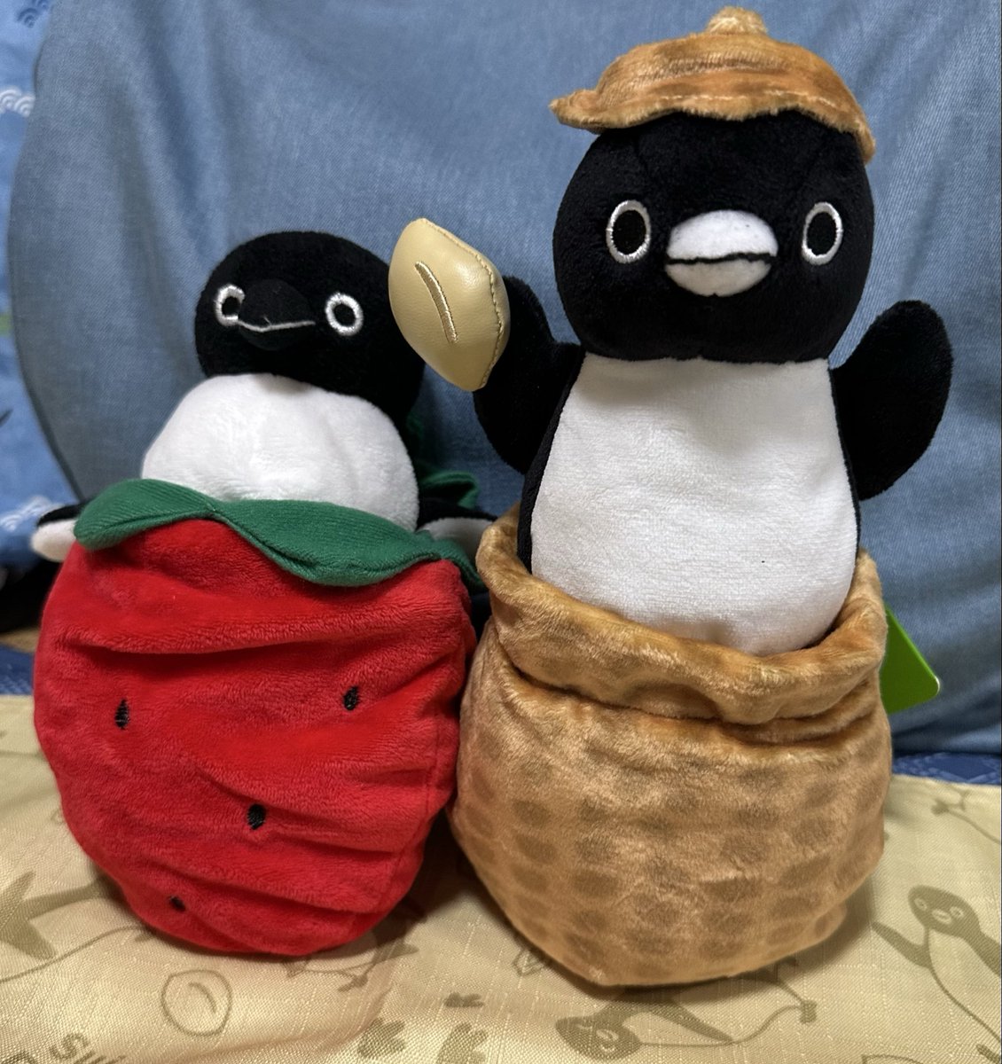 silver_P3ma_Bd's tweet photo. 🍓と違って、🥜形態になっても自立

持っている実の部分は、合皮っぽい素材でツルっとしています

キミ、フリッパーがずいぶん短いけどそこも愛おしいな💕🐧 https://t.co/Inq87g9NCz
