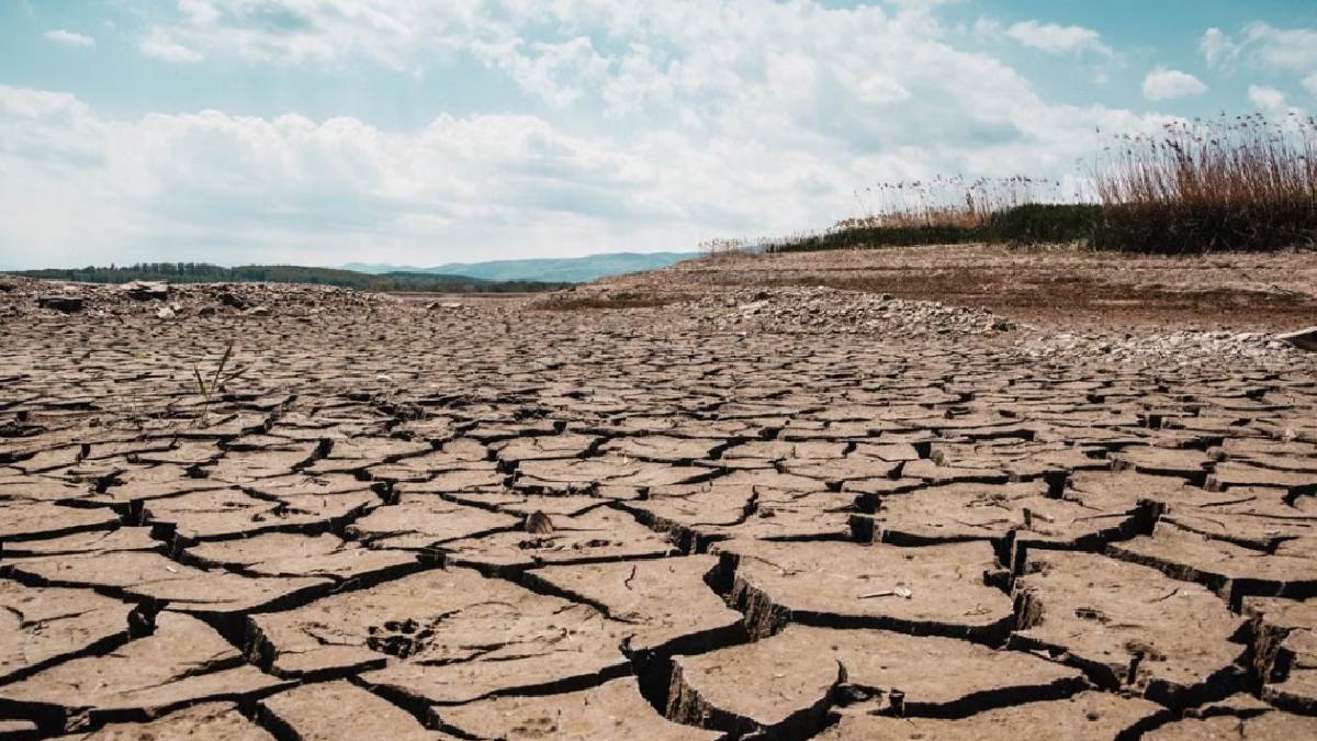 SaptashwaTV's tweet photo. Tamil Nadu Among India’s Major Drought Hotspots: 52-Year Climate Study Flags Rising Weather Extremes
https://t.co/VEe81O2yfy
#TamilNadu #Drought #ClimateChange #IndiaWeather #DroughtHotspot #ClimateStudy #TamilNaduNews #WeatherNews #Rainfall #ClimateCrisis #IndiaClimate https://t.co/NBa4FCJ2U0