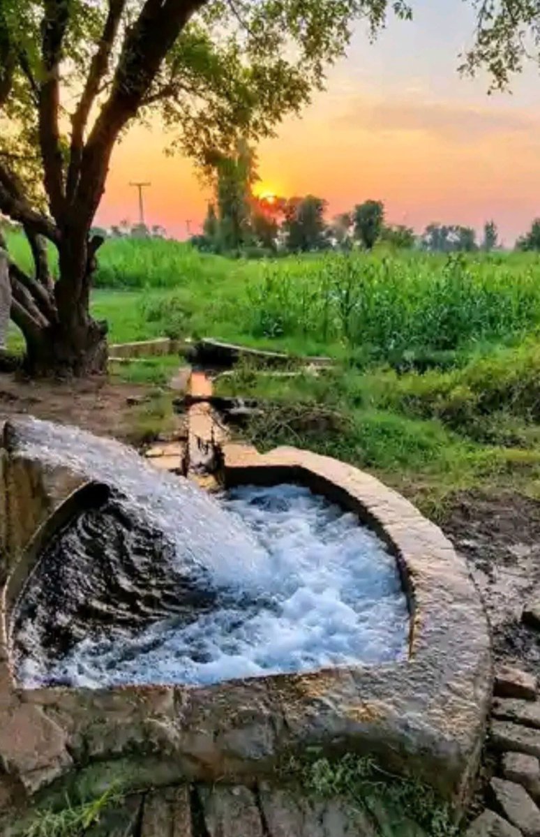 RuthlessGujjar's tweet photo. اب کہاں کوئی جستجو یارو
ہم جسے جانتے تھے، جان گئے https://t.co/sRdcnm2iCC