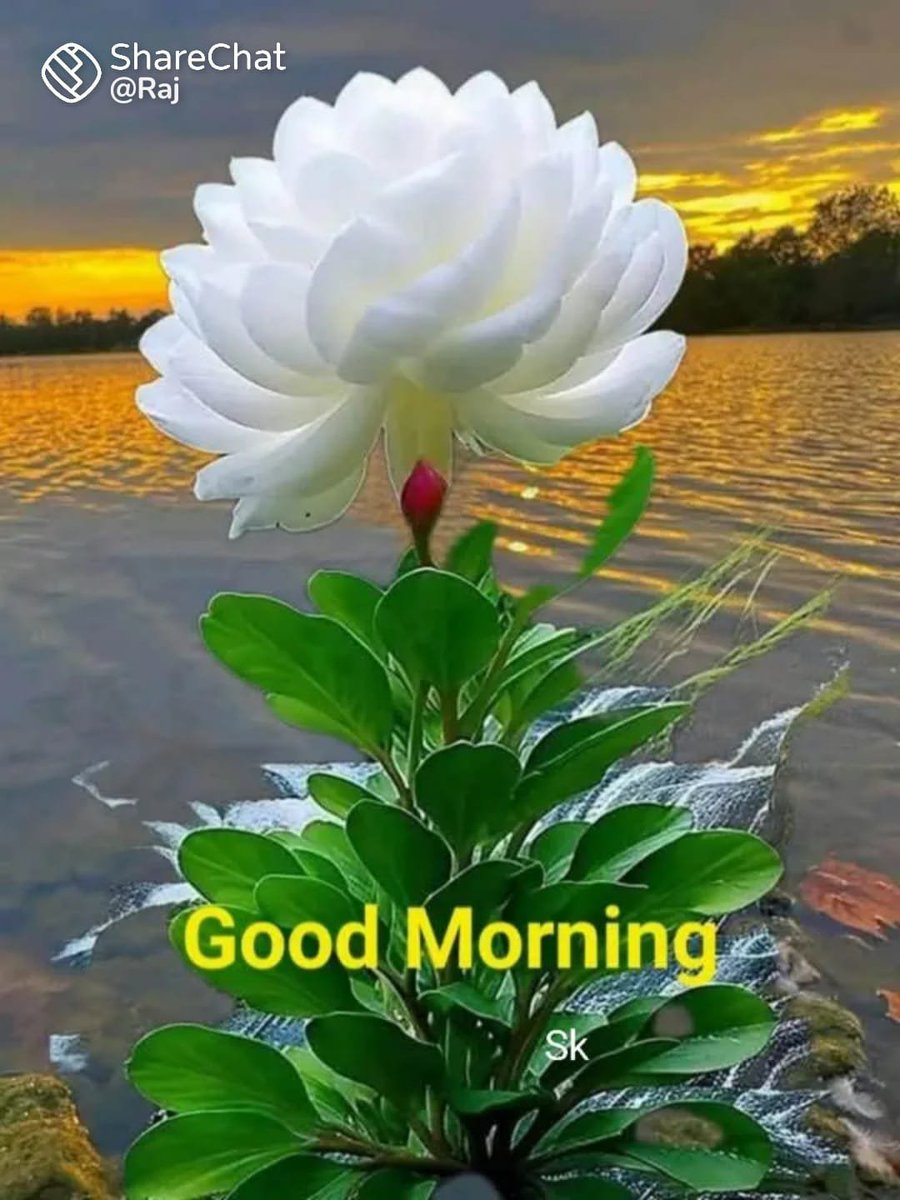 P_I_Swathi's tweet photo. @ANEES60533063 அன்புடன் இனிய காலை வணக்கம் சகோ https://t.co/VvEXFW8slC
