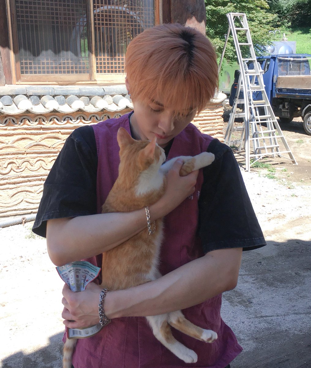 userlinoring's tweet photo. leeknow holding babies and cats 😭😭💗 https://t.co/lvAF3xgTQz