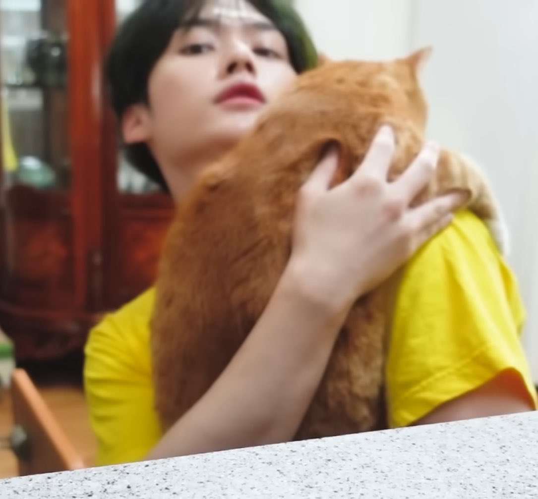userlinoring's tweet photo. leeknow holding babies and cats 😭😭💗 https://t.co/lvAF3xgTQz