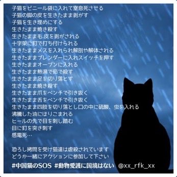 TomBeKindToAll's tweet photo. #掂散希望 #SpreadTheWord
#AnimalCruelty
#CatAbusersChina
#揭揚未成年者大虐待事件
#動物拷問虐待ビジネス根絶
#旺旺
#WangWang
#JusticeForWangWang #JusticeForAnimals @ChnEmbassy_jp
@ChnConsul_osaka
@ChnConsulateNgo
Please don't forget what she/ they went through. https://t.co/nB3zrJtRTc