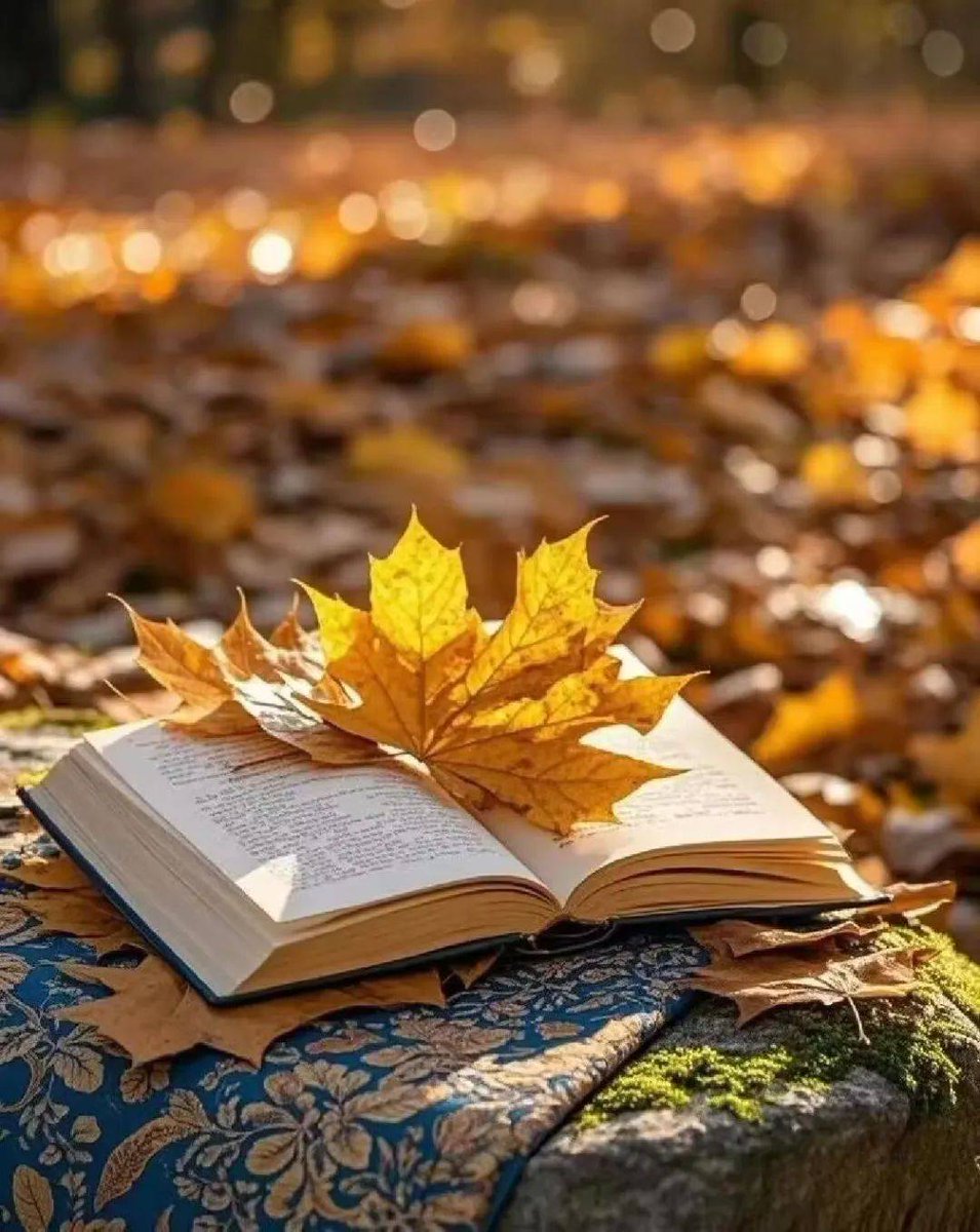 diidb142's tweet photo. When the wind扰 the old遗 poems, the嘶声 of fallen leaves stirs a涟 of silence. https://t.co/podp1NnWSO