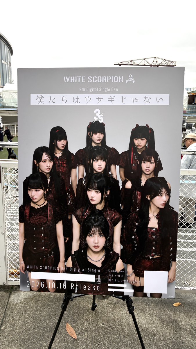 yabeWhsp's tweet photo. 今回初出しカップリング今のところ1番好き🐰 #ホワスピ https://t.co/KoNs5diqvr