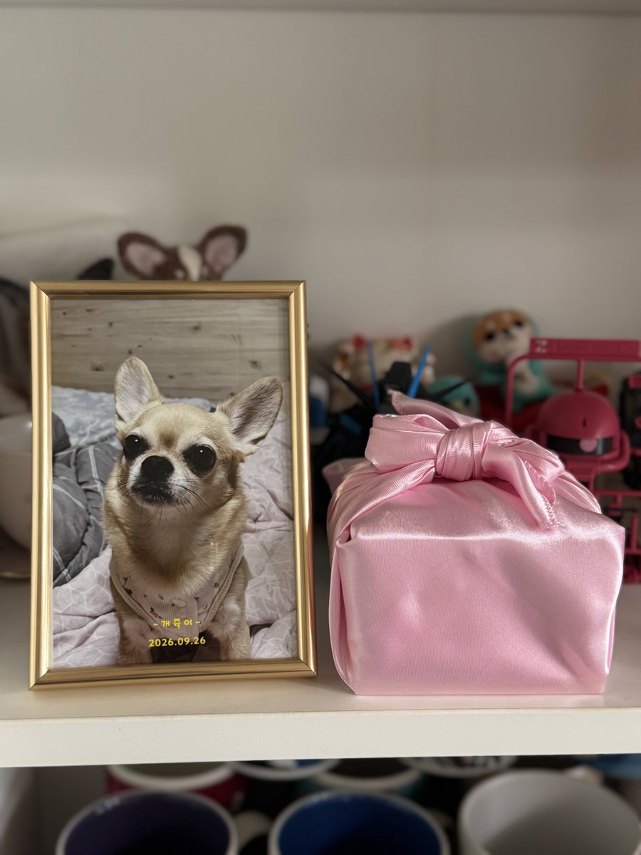 shushu0221's tweet photo. 얘더라 우리 개쥬기가 새벽에 강아지별로 떠났거든,,다들 잘 가라고 인사 한번씩만 해주라,, https://t.co/eBoahrXLjE