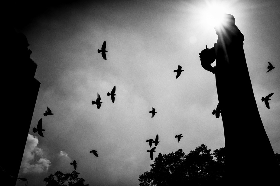 viewbug's tweet photo. Cloudy days turn the sky into a giant softbox. Add +0.3 to +1 exposure compensation so your shots don't go dull and grey.
Read it here: https://t.co/sAS6QXt9Co
#photography #phototips #viewbug https://t.co/SbWGJmPOSl