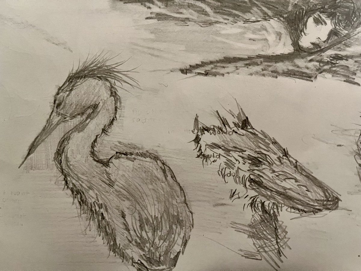 leurffy's tweet photo. more sketchh 🧑🏻‍🩰 https://t.co/shmqBvVOck