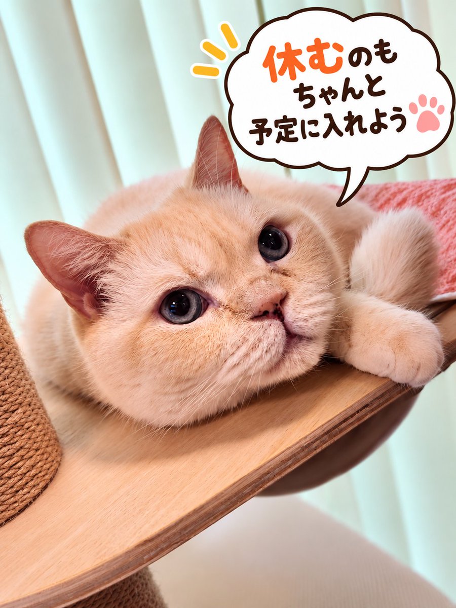 LifeWithDaizu's tweet photo. 1756日目の大豆🍀

#大豆の一言 #猫のいる暮らし https://t.co/Hvh5NZqKUQ