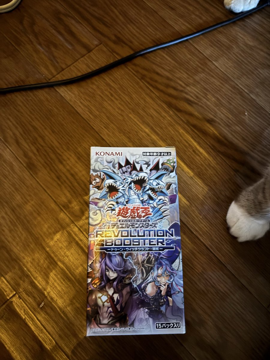 POKEiroonna's tweet photo. 今日発売の遊戯王カード買いに行くのについて行ったら、可愛いカード入ってそうなの見つけたから買っちゃった☺️ https://t.co/jOKWkxodgI