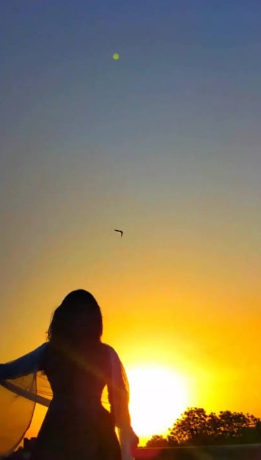 Nature3ngc's tweet photo. Golden horizon, crisp morning breeze, and setting your sights high like that solitary bird... 🌅🕊️

Good Morning🌞 https://t.co/1bWHvDjU0F
