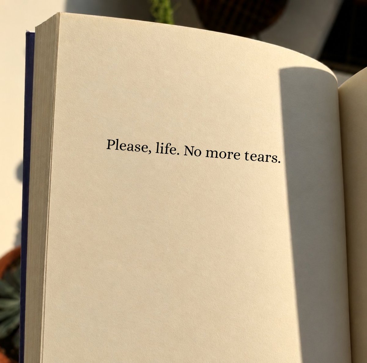 1__sadness__1's tweet photo. https://t.co/MHsCQ2o2PT