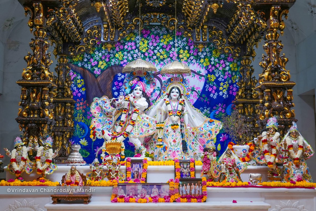 VCMVrindavan's tweet photo. Today's Sringar Darshan of Sri Radha Vrindavanchandra, 26 Sep 2026 https://t.co/rAKPf16lTP