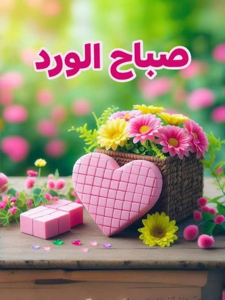 hatmysy2's tweet photo. ولأنك طيب تريد أن تقنعهم وعندما يقتنعون تكون قد ضيعت من الوقت ما لم يسعفك أن يكتمل نجاحك فتغضب كثيراً وتصر علي أن تعود لهم وتقنعهم بأنهم ضيعوا نجاحك تجدهم يحتفلون بنجاحهم وأنت الفاشل بينهم صباح الخير والأمل والتفاؤل https://t.co/6m8fmtsYjV