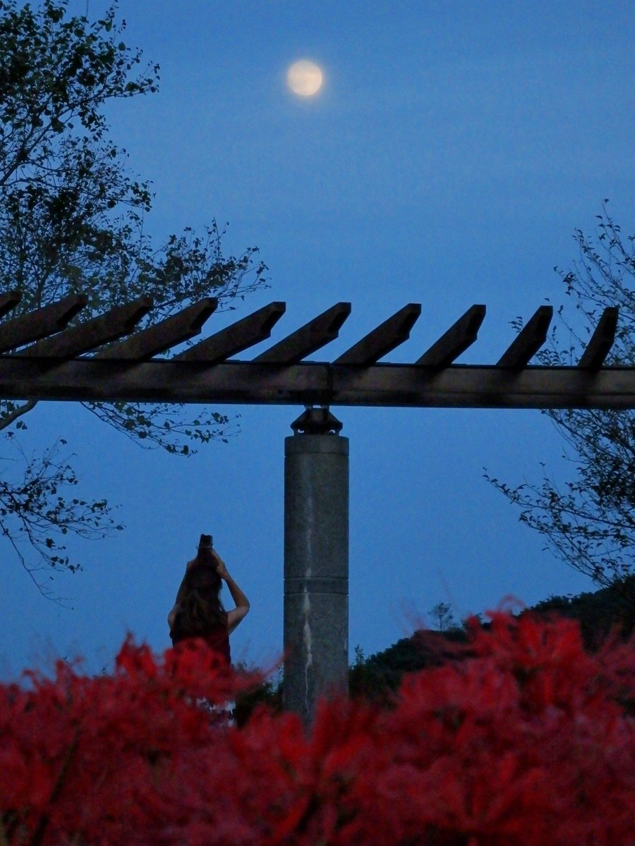 2Serow's tweet photo. 昨夜の「中秋の名月」 https://t.co/AcP3Wo6nvh