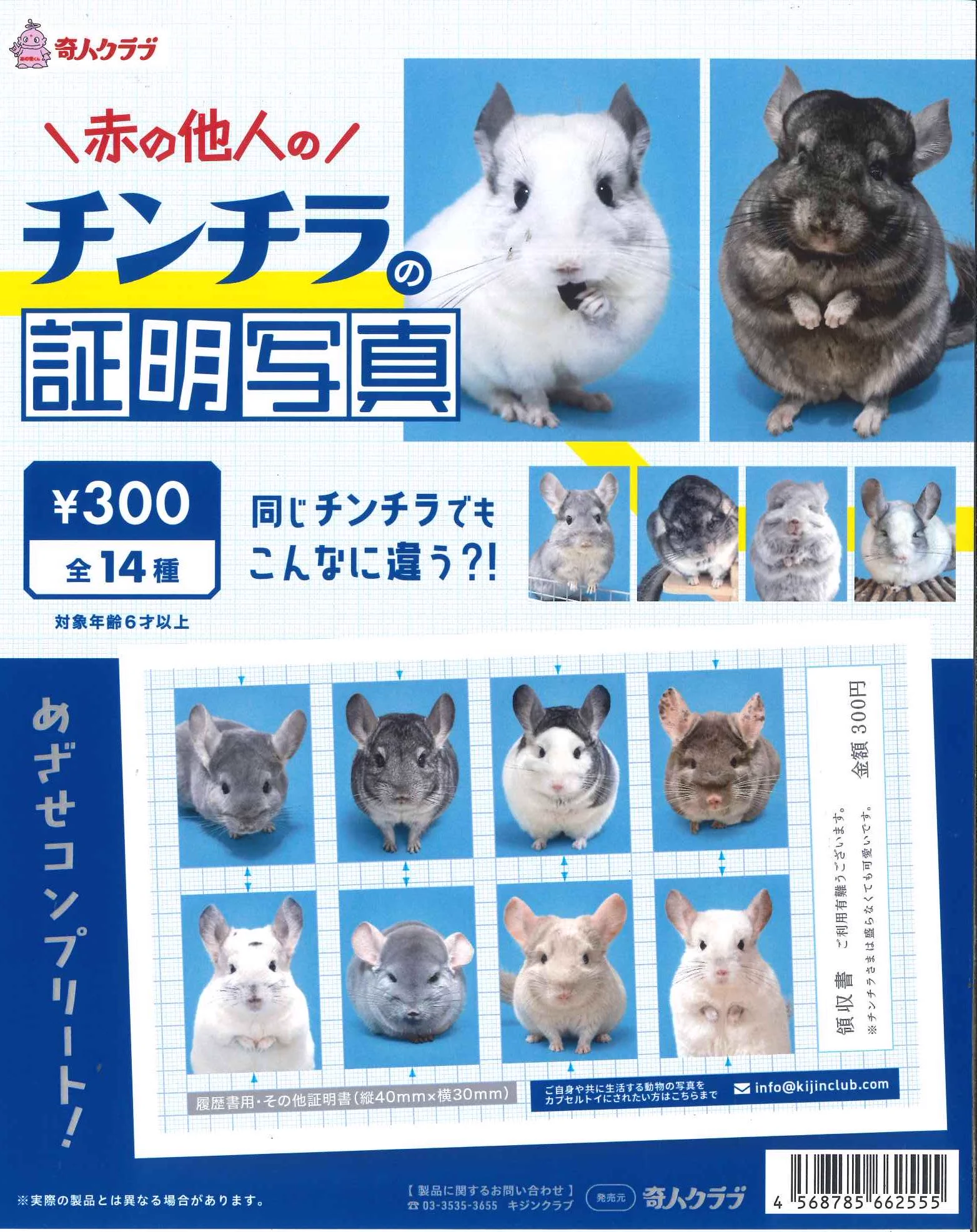 C-pla 川崎ルフロン店 【公式】 on X: 