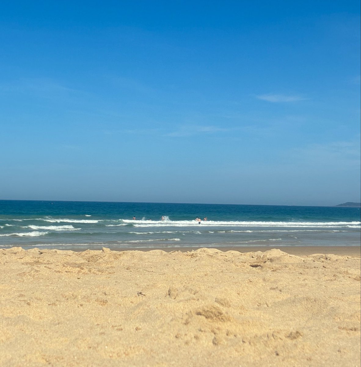 jnkhrtz's tweet photo. warn days lately ☀️ https://t.co/Wef3m6WCL0
