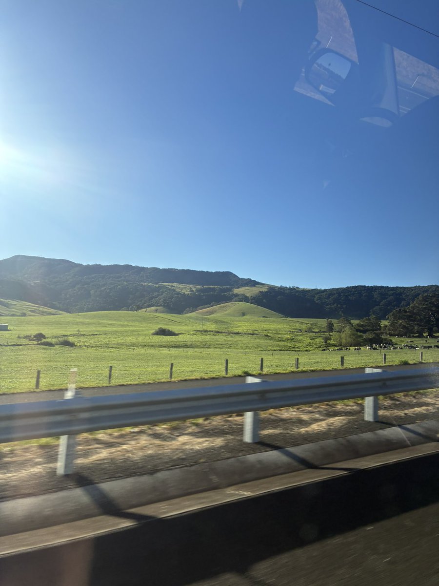 jnkhrtz's tweet photo. warn days lately ☀️ https://t.co/Wef3m6WCL0