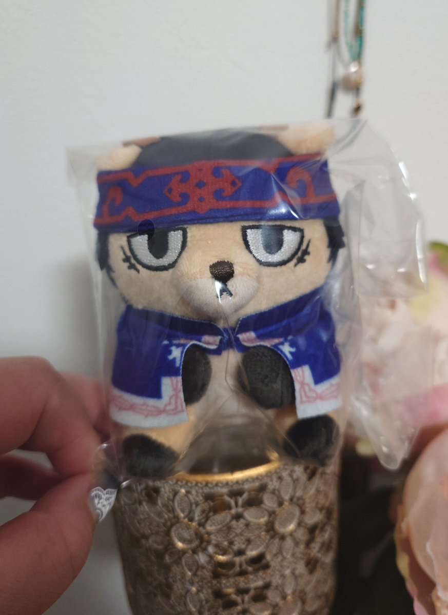 ruri_0919's tweet photo. あと昨日は動物フォーゼのキラウㇱが届いたからやっとたぬ倉と鹿ウㇱが揃ったよ〜！
鹿ウㇱの方がでかいのがイイ！ ✨ https://t.co/bMPdJkMFqO