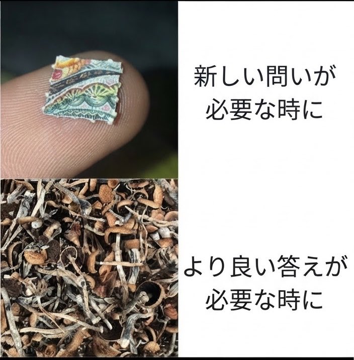 Mash710m's tweet photo. 🌈ＶＳ🍄 https://t.co/58tWyjTmvG