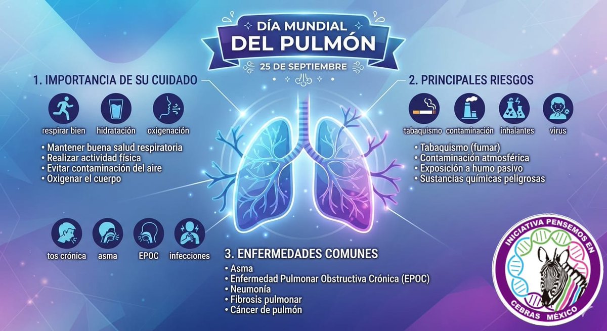 PCebras's tweet photo. ☝️Hoy es el Día Mundial del #Pulmón, creado para crear conciencia sobre la importancia de la salud respiratoria y la prevención de enfermedades.
Promover el cuidado respiratorio en todas las etapas de la vida.
#DiaMundialDelPulmon #enfermedadespulmonares https://t.co/DegKzu6a2Q