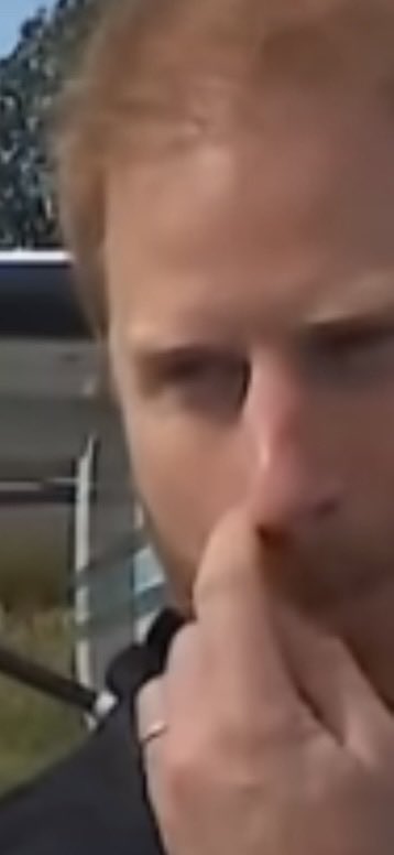 InsightfulWatch's tweet photo. Harry the Mad Sniffer of Sussex. https://t.co/qrK9gNtJPN