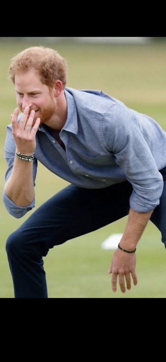 InsightfulWatch's tweet photo. Harry the Mad Sniffer of Sussex. https://t.co/qrK9gNtJPN