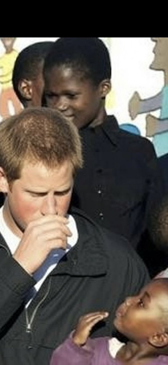 InsightfulWatch's tweet photo. Harry the Mad Sniffer of Sussex. https://t.co/qrK9gNtJPN