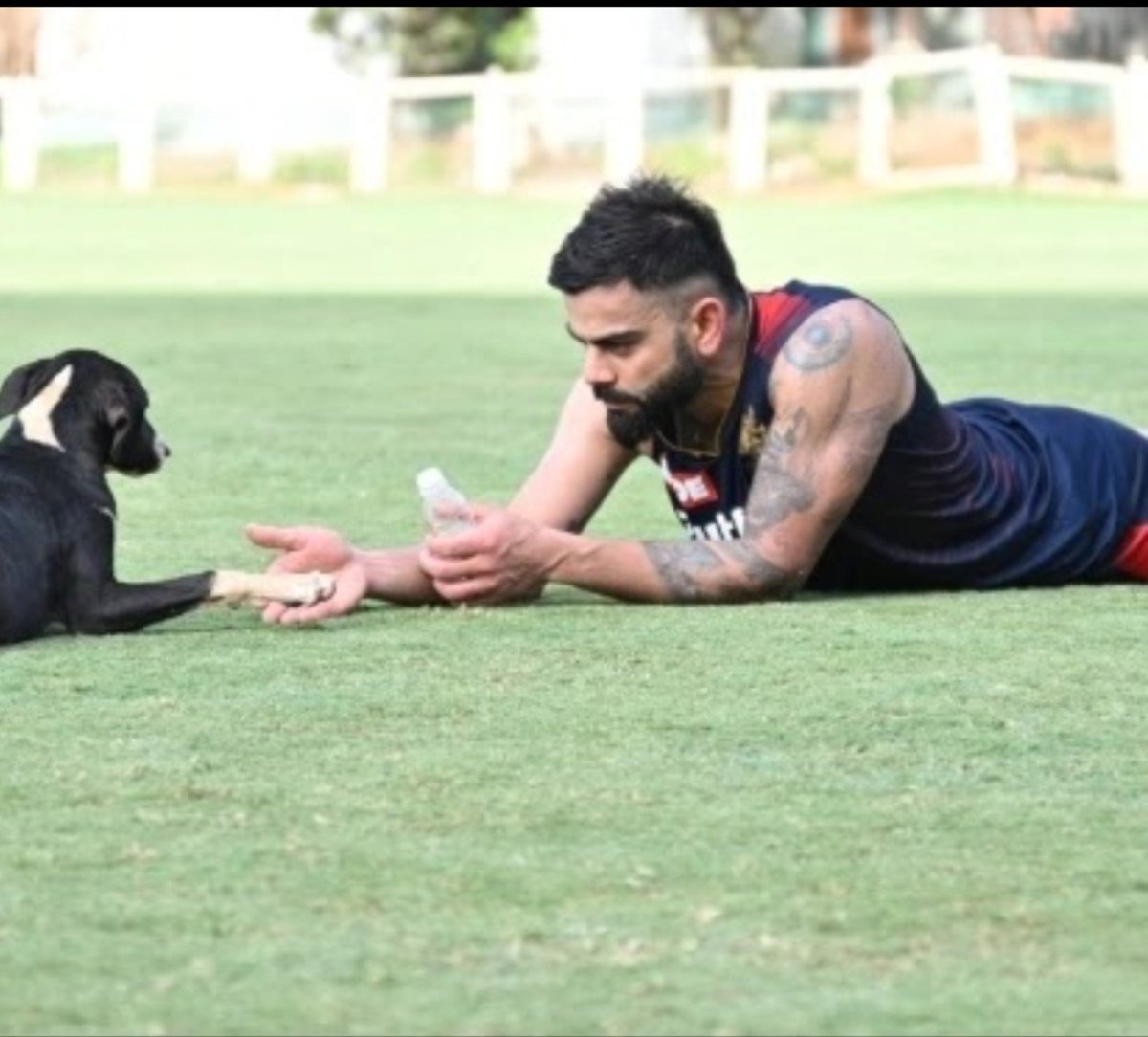 TheViditsharma's tweet photo. There is something truly beautiful about seeing someone admired by millions show genuine love and compassion towards community dogs.❤️🐾

Virat Kohli has, on multiple occasions, shown his affection and concern for dogs and moments like these matter far more than we sometimes realise.

When a person of his stature shows kindness towards animals, the message travels to millions of people. Youngsters admire him, fans follow him, children look up to him, and countless people aspire to be like him. That is why even a simple act of compassion can become a powerful example. ❤️

Community dogs don’t need much from us just a little food, clean water, medical care when they are suffering, and most importantly, kindness and the right to peacefully coexist with us.

Thank you, Virat Kohli for repeatedly showing love and compassion towards these innocent souls. 🙏❤️

Your achievements inspire millions, but seeing this compassionate side of you can inspire something equally meaningful a generation that grows up being kinder to animals.

May more people with such enormous influence use their voice and actions to remind society that compassion towards animals is never a small gesture. It can inspire millions of hearts ❤️

@imVkohli @AnushkaSharma