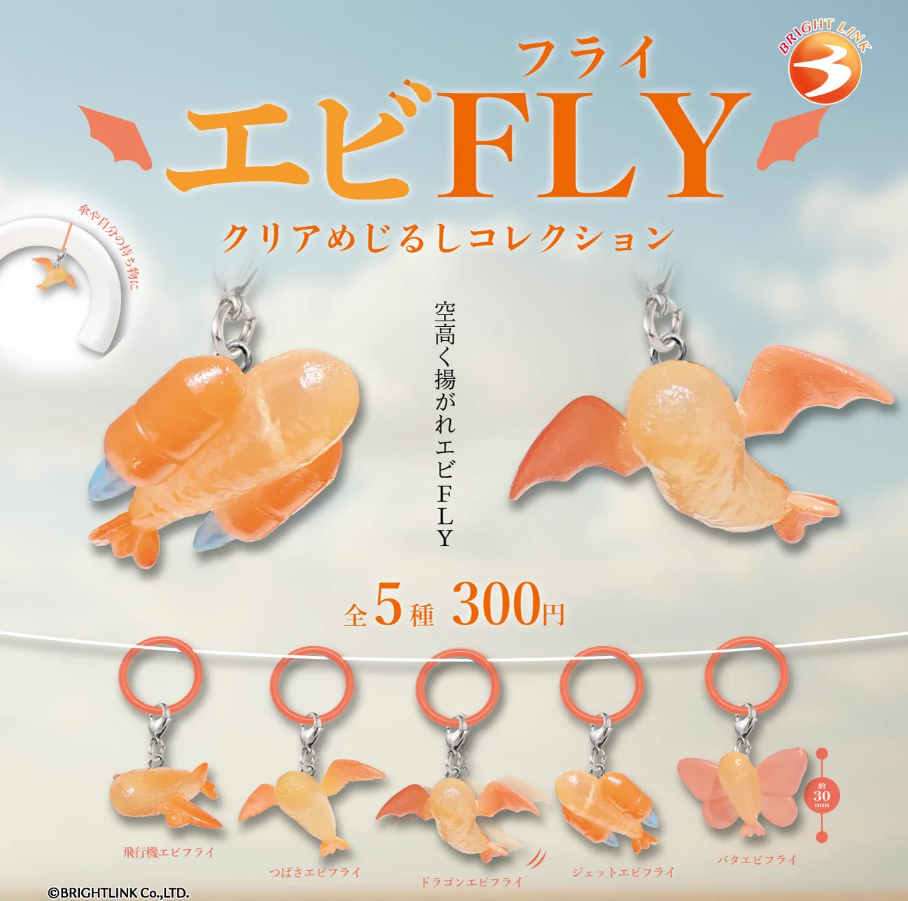 えびぃの 🍤 على X: 